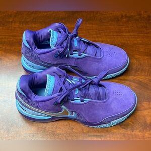 Nike Zoom LeBron NXXT Gen AMPD Summit Lake Hornets Purple Men’s FJ1566-500
